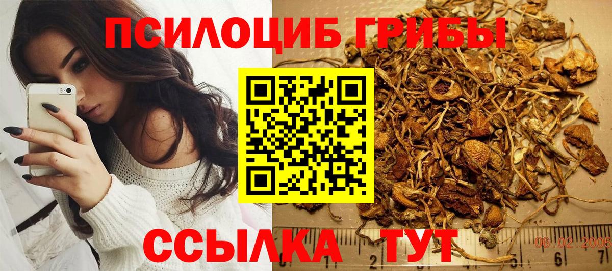 Псилоцибиновые грибы Psilocybine cubensis Новочебоксарск
